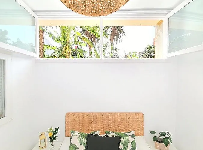 Alayna's Homes חוף ואיה גראן ריי